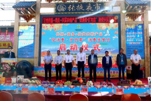 甘州區(qū)多措并舉促消費擴內(nèi)需，消費扶貧月活動助力鄉(xiāng)村振興